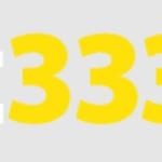 Bet3333 A Plataforma Oficial de Cassin