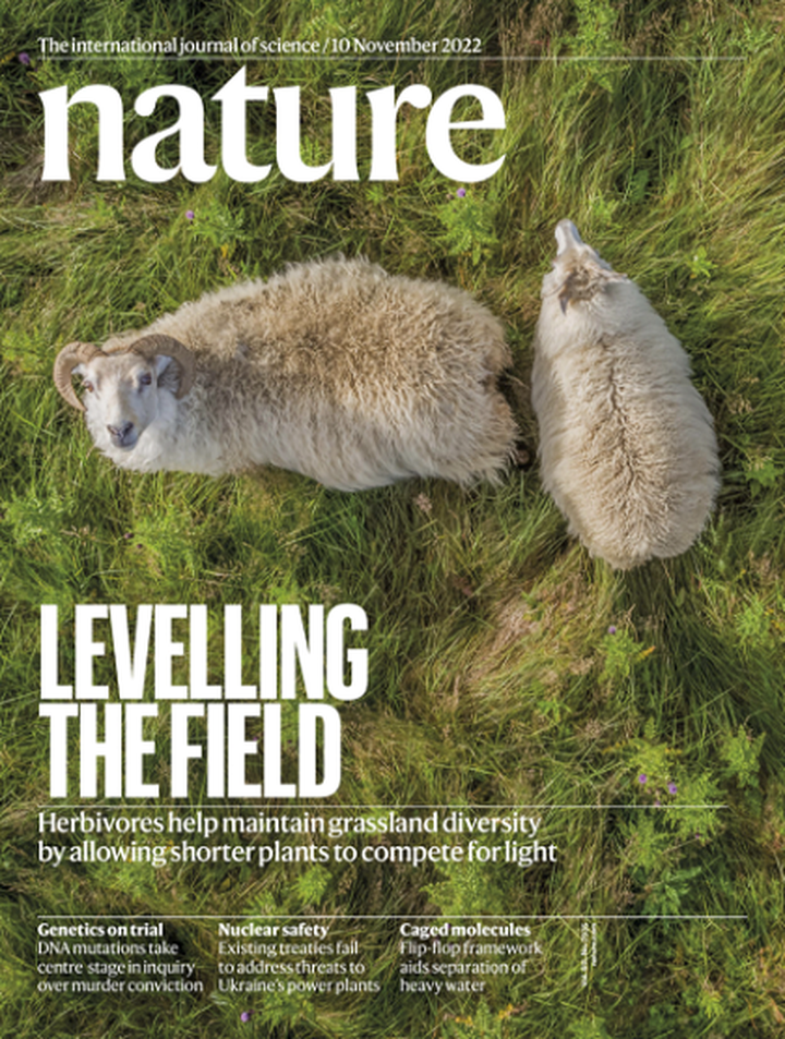 SciNat за ноябрь 2022 #2: регенерация сенсорных нейронов, генетическое мачете и не одна, а две мутации «бессмертных» раковых клеток