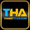 thabet77 cn com
