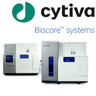 XII Научная школа «SPR-биосенсоры Biacore в биомедицинских исследованиях»