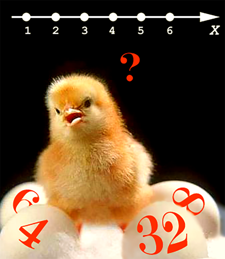 Числовая ось у цыплят такая же, как у людей