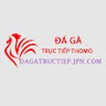Đá Gà Trực Tiếp