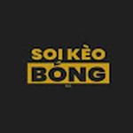 Soikeobongdacom Se