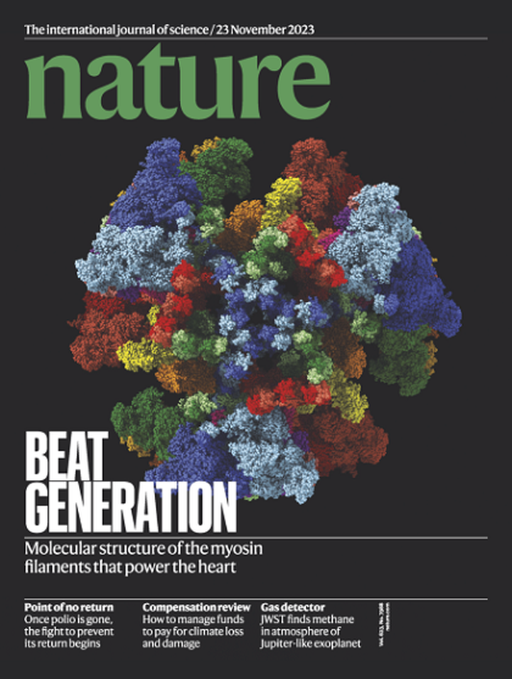 SciNat за ноябрь 2023 #4: CRISPR-Cas9, материнские нейроны и запасливые ооциты