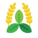 Amoli International