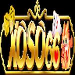 XOS O66