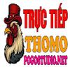 ĐÁ GÀ TRỰC TIẾP THOMO HÔM NAY TẠI CAMPUCHIA