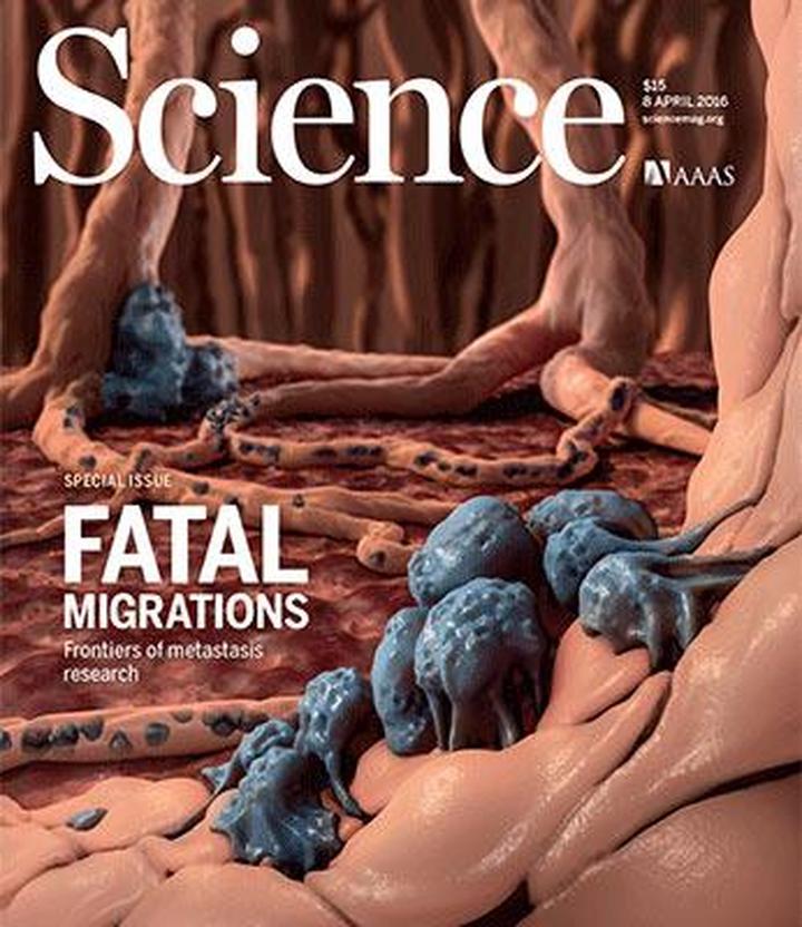 SciNat за апрель 2016 #2: необычное прошлое меланезийцев, психическое здоровье и метастазы