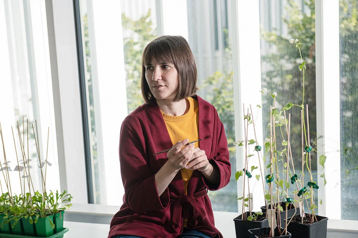 Мария Логачева: об эволюции растений, создании идеальной гречихи и пангеномной эре в исследованиях