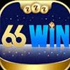 66WIN Vin