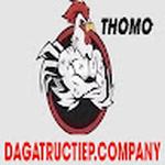 ĐÁ GÀ TRỰC TIẾP COMPANY