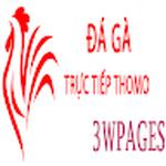 Đá Gà Trực Tiếp Thomo