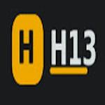 H13