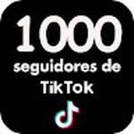 Comprar Seguidores Tiktok