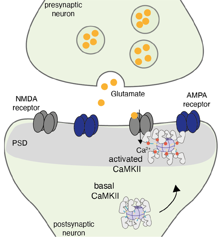 Забыть нельзя запомнить