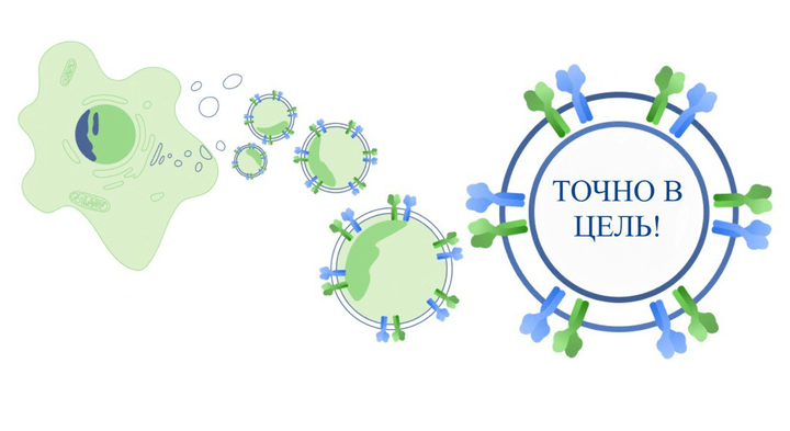 История о том, как вирусы помогли разработать таргетную систему доставки лекарств