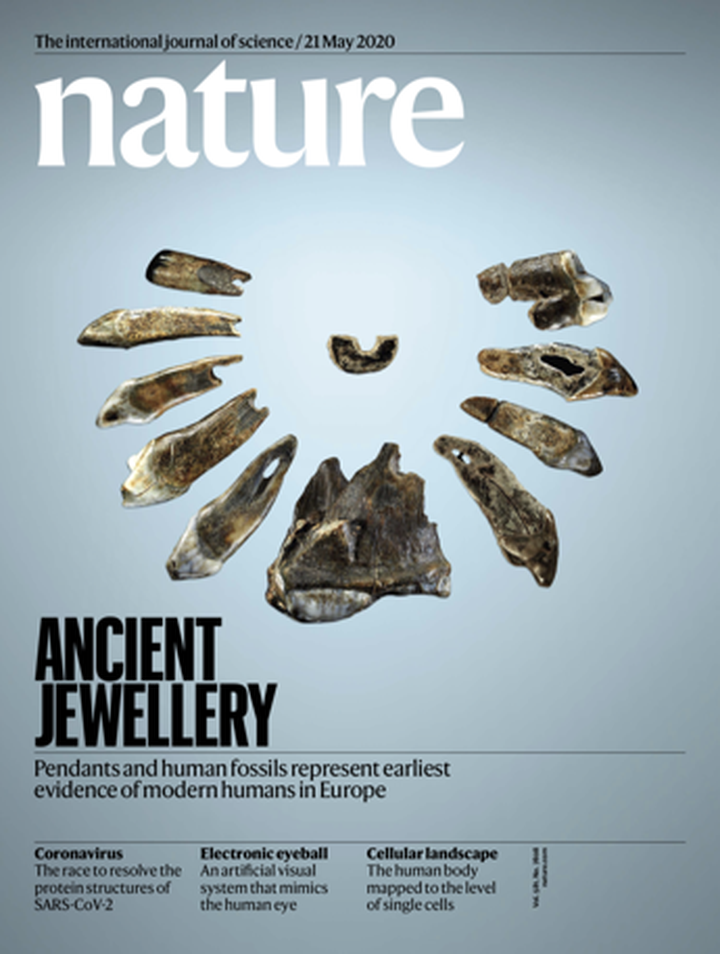 SciNat за май 2020 #3: искусственный глаз, древние украшения и новое о SARS-CoV-2