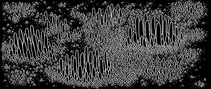 Биопленки. Как живется в бактериальных многоэтажках?