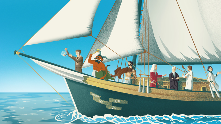 Не можешь излечить — восстанови! Как появилась регенеративная медицина и какие у нее возможности сегодня