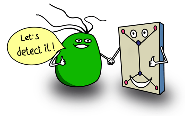 Микрофлюидный биосенсор на основе <em>Helicobacter pylori</em>: может ли патоген приносить пользу?