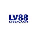 lv88 accom