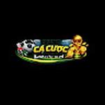 trang ca cuoc bong da hop phap