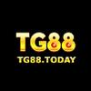 Tg88 today