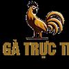 ĐÁ GÀ TRỰC TIẾP