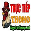ĐÁ GÀ TRỰC TIẾP XYZ NET
