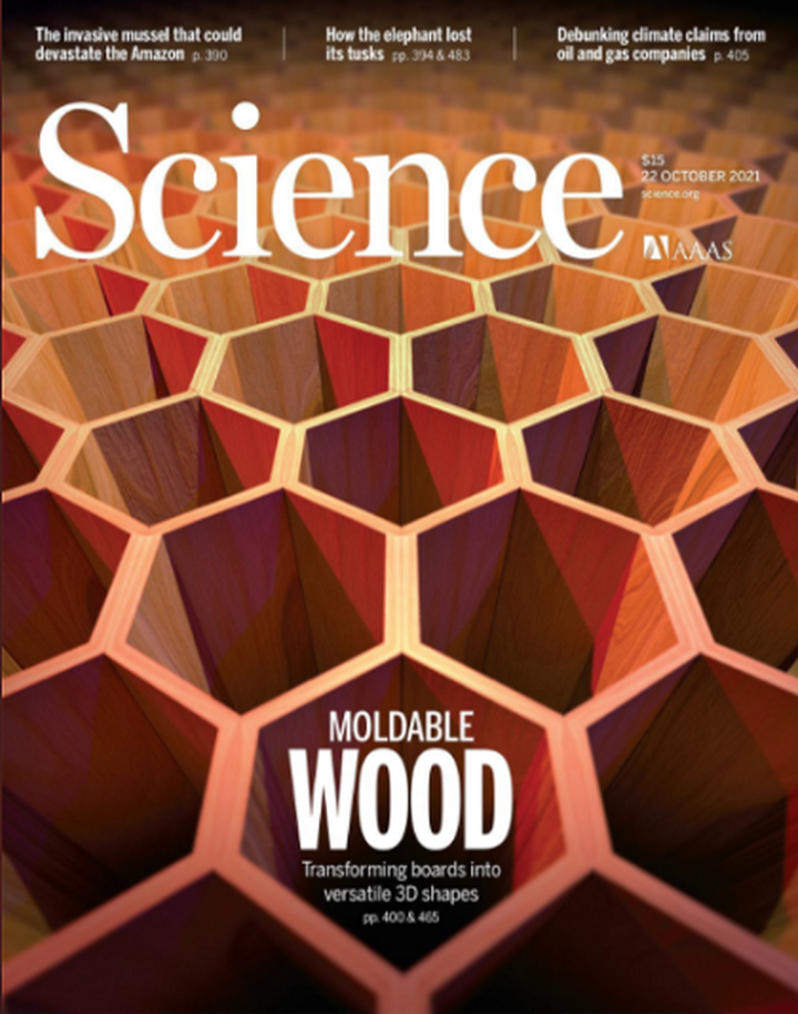 SciNat за октябрь 2021 #4: арктическая биота, нейробиология общения и инновационная древесина