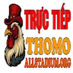 ĐÁ GÀ TRỰC TIẾP