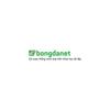 BongdaNET66 com