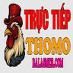 ĐÁ GÀ TRỰC TIẾP