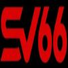 sv66team cn com