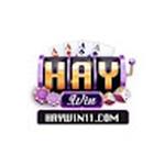 haywin11com