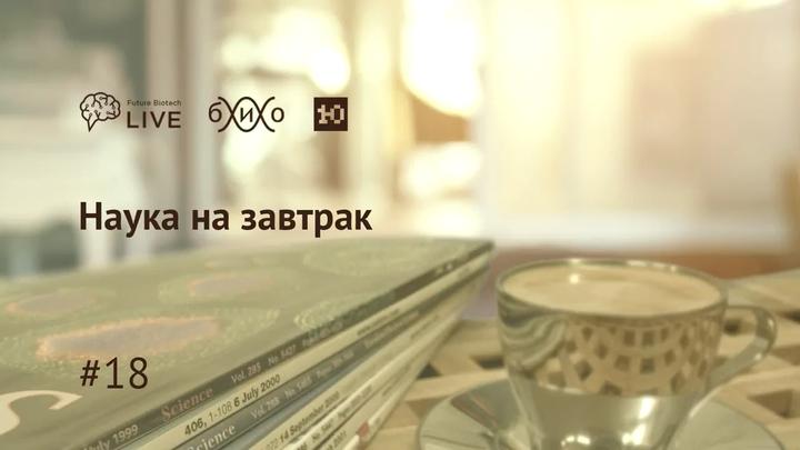Наука на завтрак #18