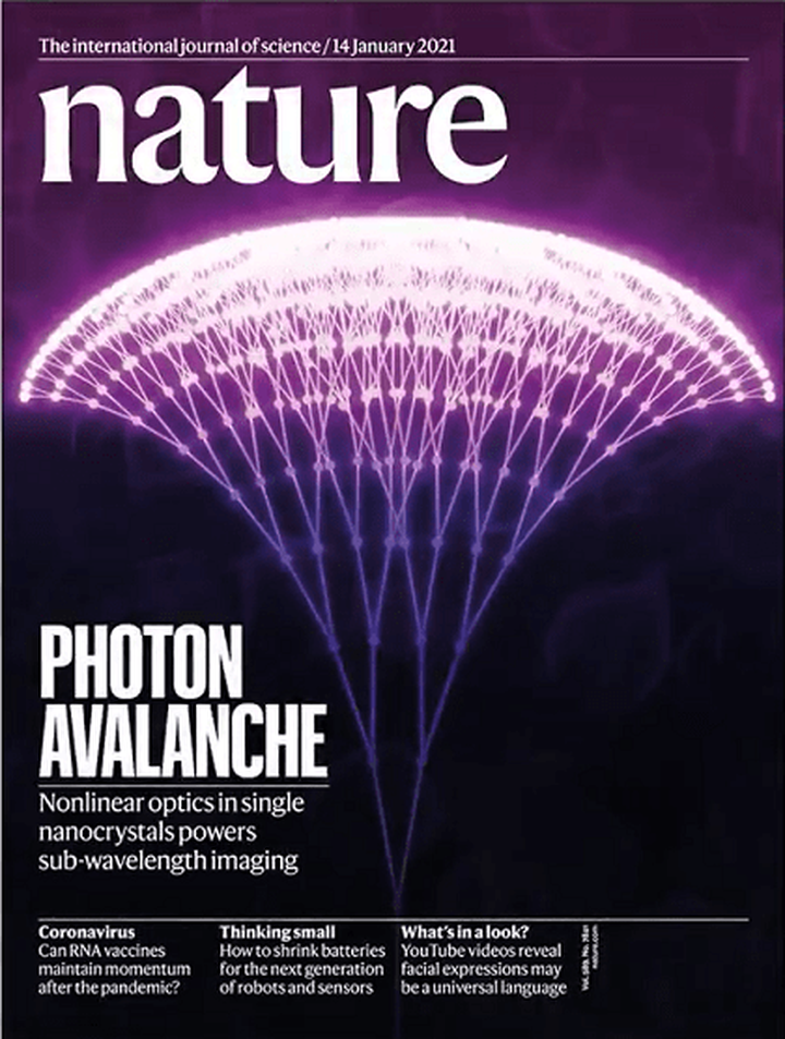 SciNat за январь 2021 #2: иммунный ответ, провоцирующий и усмиряющий боль, борьба со старением и наночастицы против коронавирусов