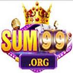 sum99wiki wiki