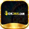 oK365 cam