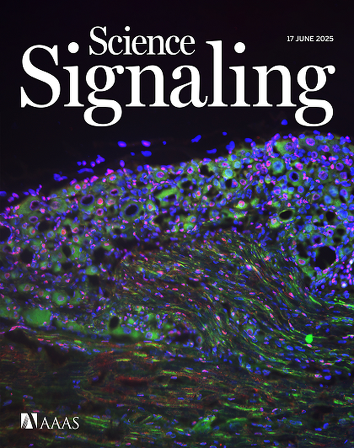 SciNat за июнь 2025 #4: архей-паразит, искусственные ферменты и секреты нейропатической боли