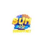 SUMVIP