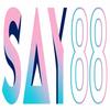 Nhà cái Say88