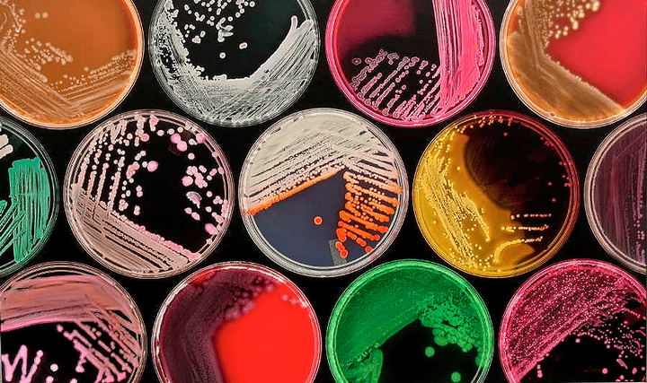 «Сопротивление бесполезно» — новые пути преодоления развития резистентности у бактерий