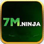 7M ninja