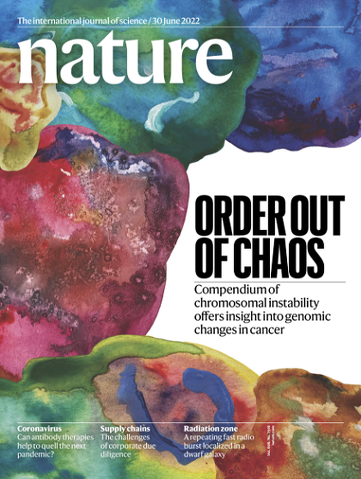 SciNat за июль 2022 #1: живительная сила сна после стресса, вещество от облысения и первое заражение человека коронавирусом от кошки