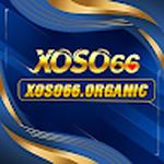 xoso66 organic