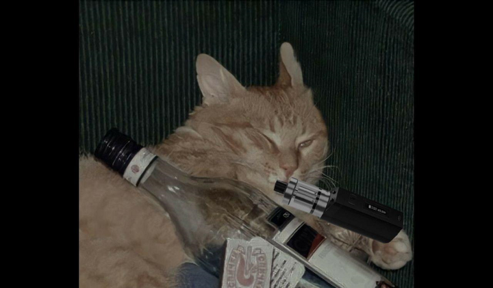 Спасибо, что живой: польза или вред электронных сигарет