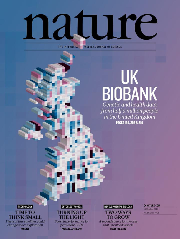 SciNat за октябрь 2018 #2: британский биобанк, махинации с идентичностью раковых клеток и цифровой мышиный эмбрион