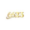 6623 Vnnet