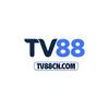Nhà cái TV88